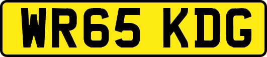 WR65KDG