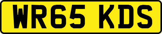 WR65KDS