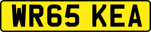 WR65KEA