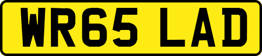 WR65LAD