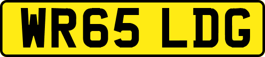 WR65LDG