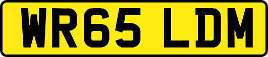 WR65LDM