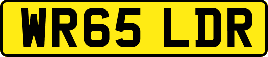 WR65LDR