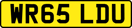 WR65LDU
