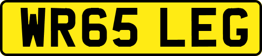 WR65LEG