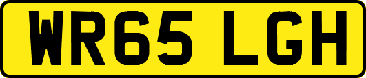 WR65LGH