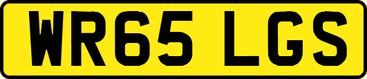 WR65LGS