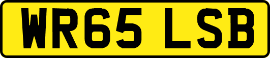 WR65LSB