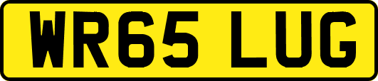 WR65LUG