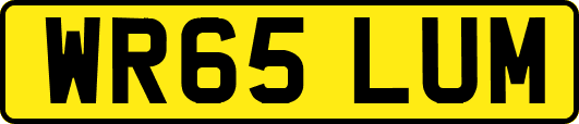 WR65LUM