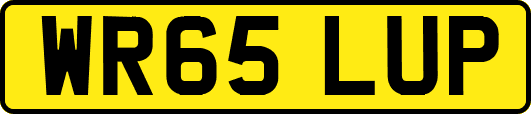 WR65LUP