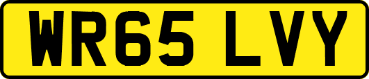 WR65LVY