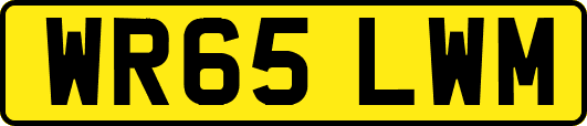 WR65LWM