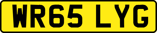 WR65LYG