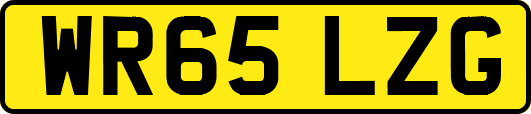 WR65LZG