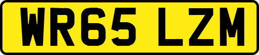 WR65LZM