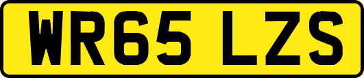 WR65LZS