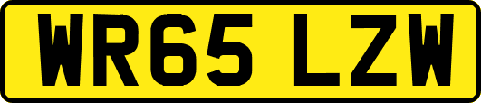 WR65LZW