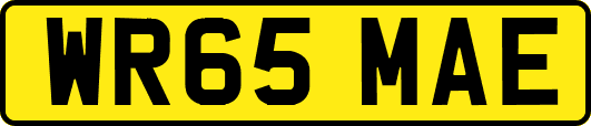 WR65MAE