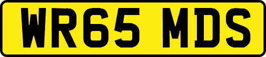 WR65MDS
