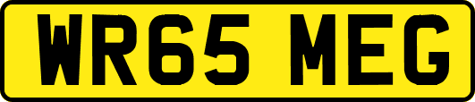 WR65MEG