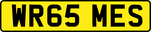 WR65MES