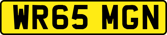 WR65MGN