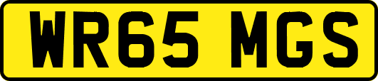 WR65MGS