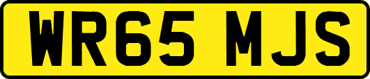 WR65MJS
