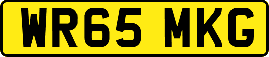 WR65MKG