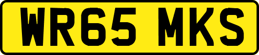 WR65MKS