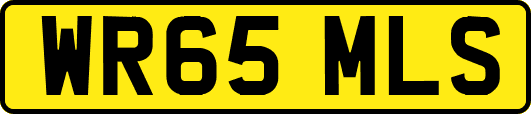 WR65MLS