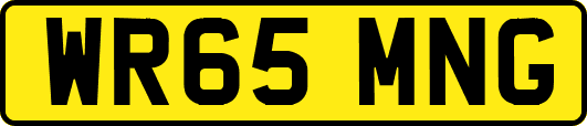 WR65MNG