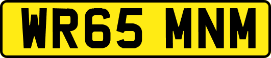 WR65MNM