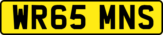 WR65MNS