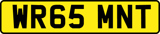 WR65MNT