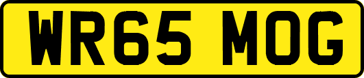WR65MOG