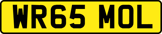 WR65MOL