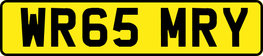 WR65MRY