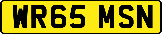 WR65MSN