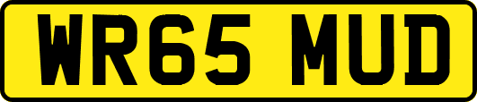 WR65MUD