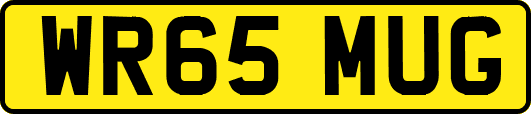 WR65MUG
