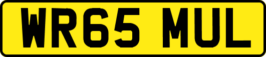 WR65MUL