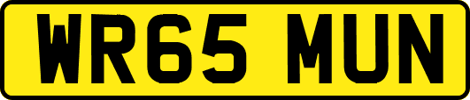 WR65MUN