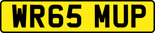 WR65MUP