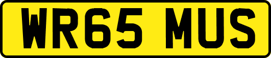 WR65MUS