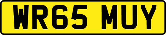 WR65MUY