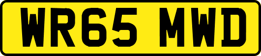 WR65MWD