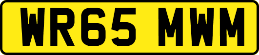 WR65MWM
