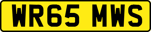 WR65MWS